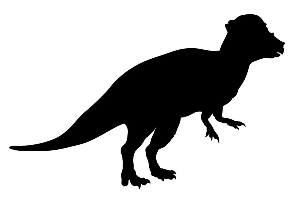 Pachycephalosaurus